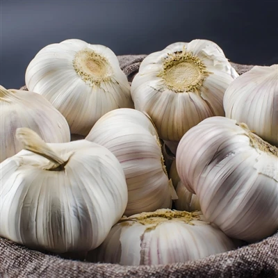 Garlic: a unique health treasure and cash crop